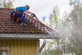 Find out what are the points to consider in the Eaves Cleaning service post thumbnail image