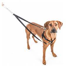 Discourages taking and lowers the neck and throat injuries threat-dog harness post thumbnail image