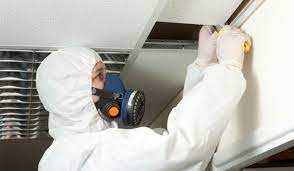 In-Depth Insight: Asbestos Survey Procedures post thumbnail image